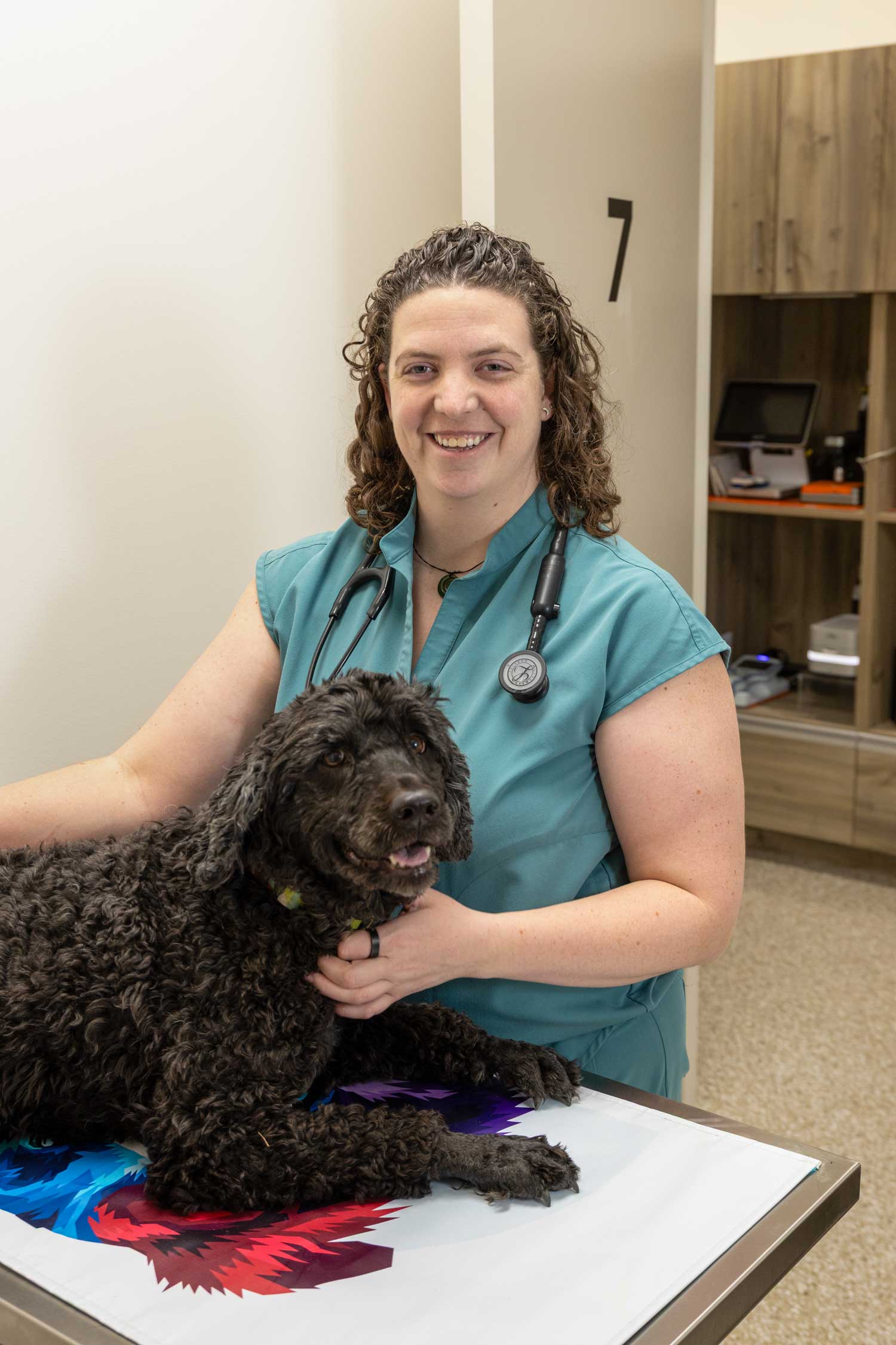 Dr. Dani Poll, DVM examining a dog at Mtn. Green Animal Hospital