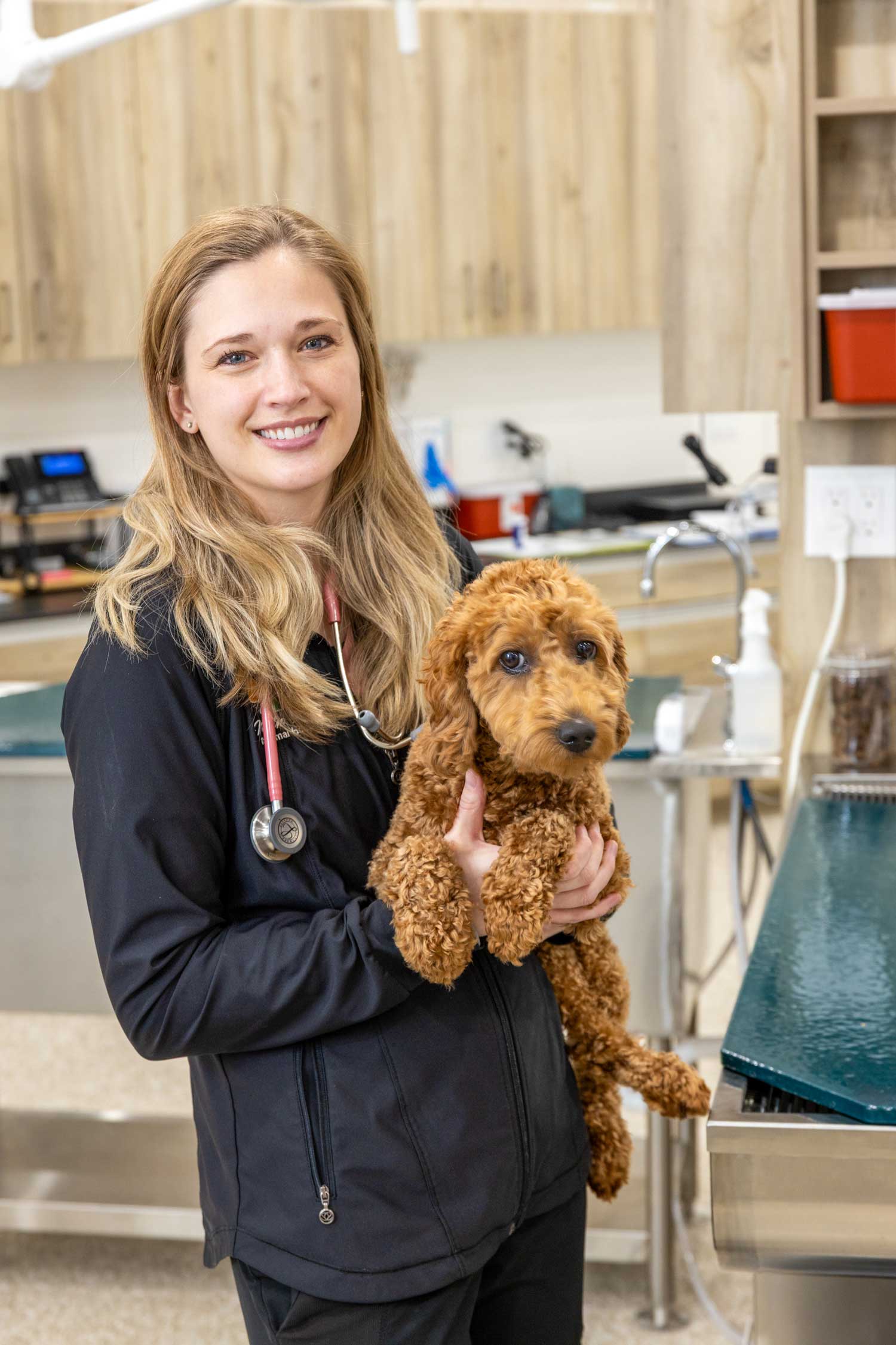 Dr. Nicole Sorensen, DVM holding a puppy at Mtn. Green Animal Hospital